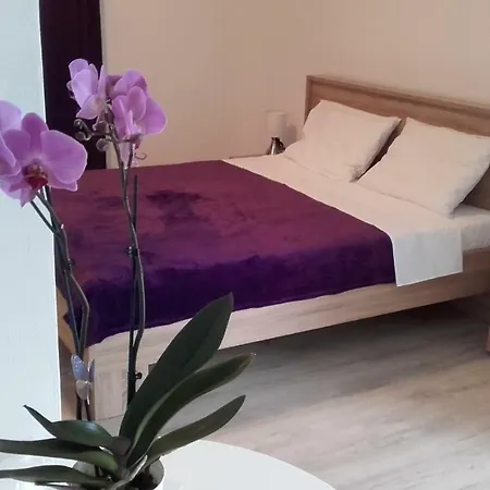 Apartment Tip Top Rovinj Exterior foto